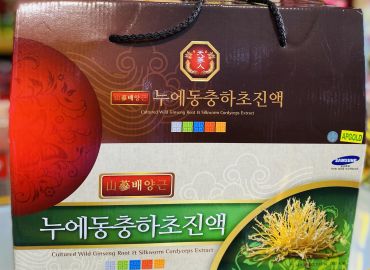 Tác dụng của đông trùng hạ thảo là gì? Cách sử dụng và liều dùng hiệu quả